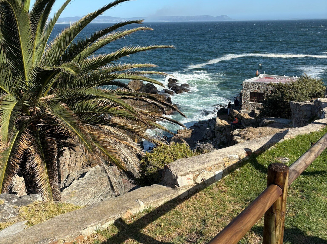 Hermanus Cliff Path-赫曼努斯必去景点