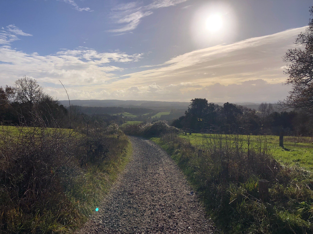 Newlands Corner-Shere必去景点