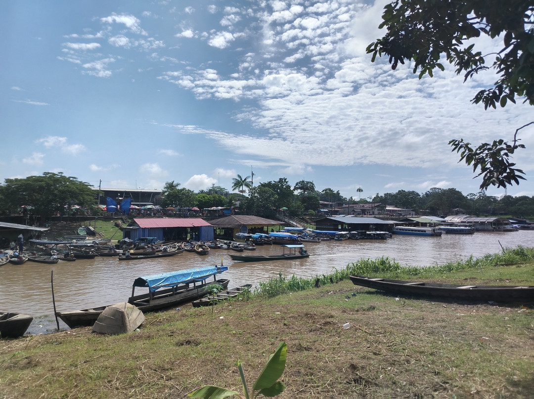 Hotel Malokamazonas主图