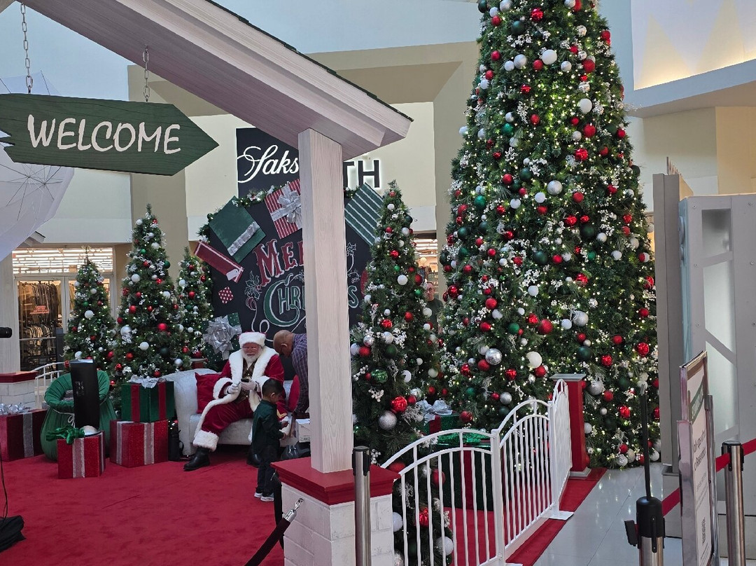 海豚商场-迈阿密必去景点