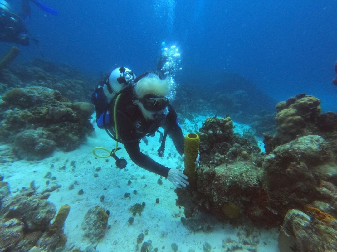 Varadero Diving Tour-Playa Larga必去景点