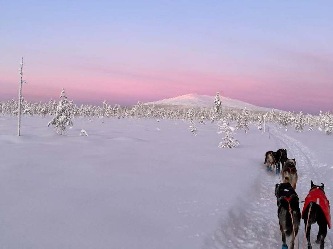 Powerun Adventures-Kolari必去景点