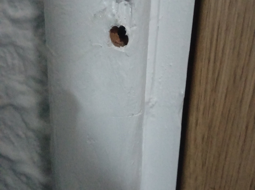 The Station Aparthotel主图