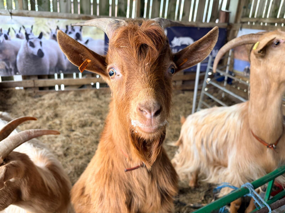 Cragg House Farm-Buttermere必去景点