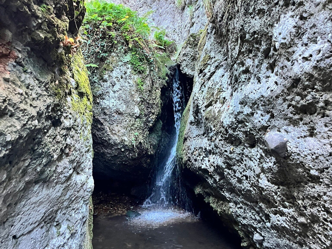 La Senda Del Agua-Matute必去景点