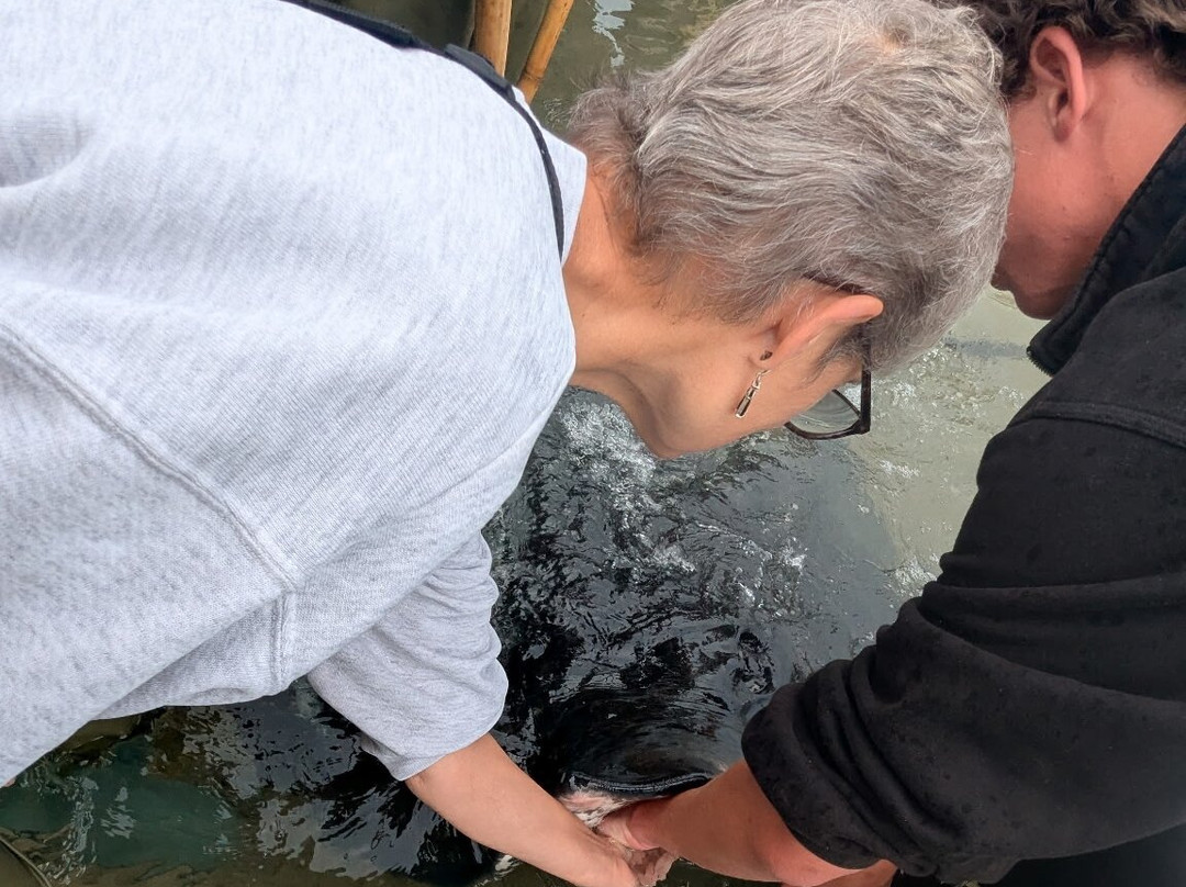 Dive Tatapouri-Gisborne Region必去景点