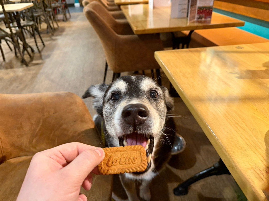 Goddards Brewery-桑当必去景点