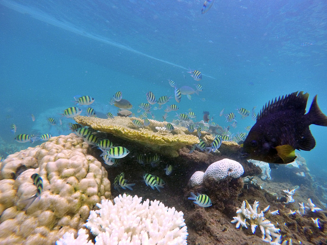 V. Marine Tour-莆缴必去景点