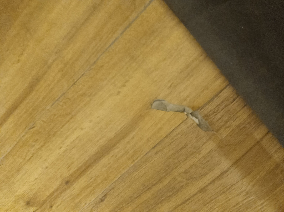 科隆内酒店主图