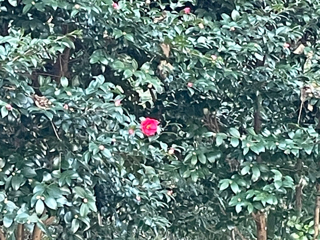 Eunpa Lake Park-群山市必去景点