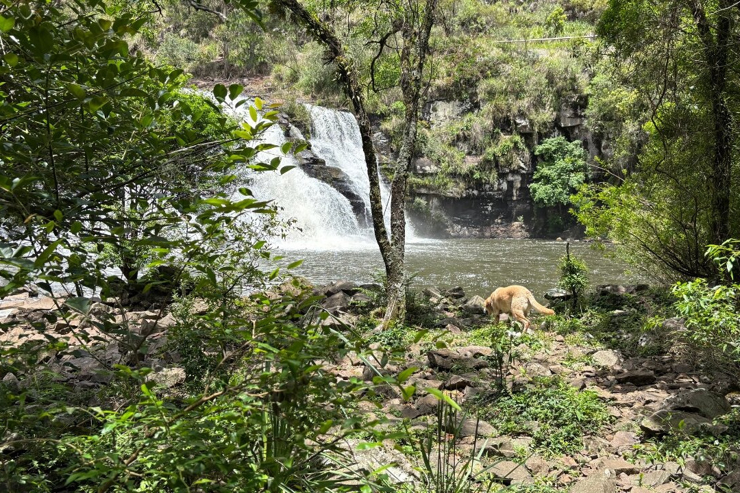 Cascata Barragem do Divisa-Sao Francisco de Paula必去景点