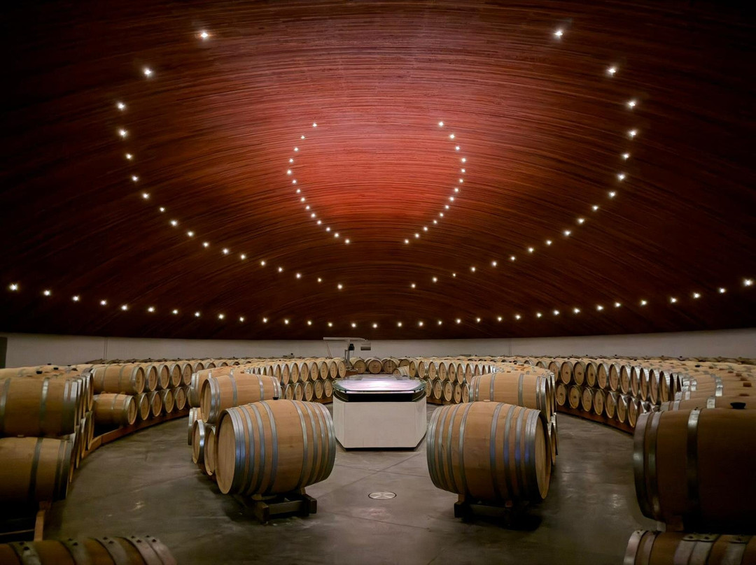 Colchagua Wine Tours-圣克鲁斯必去景点