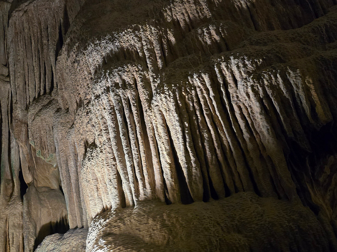Hato Caves-威廉斯塔德必去景点