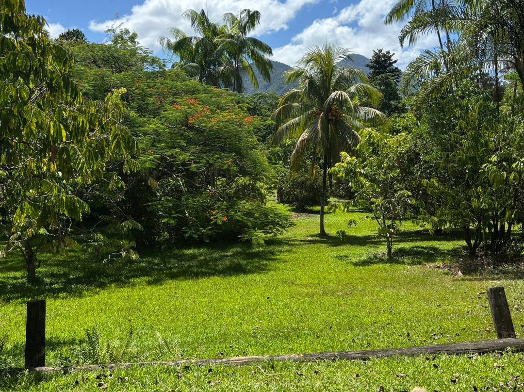 Shannonvale Tropical Fruit Winery-Mossman必去景点