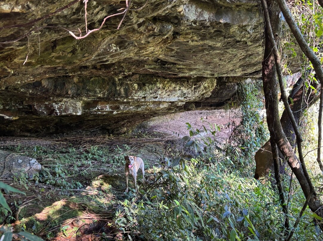 Cascata Fortaleza-Nova Petropolis必去景点