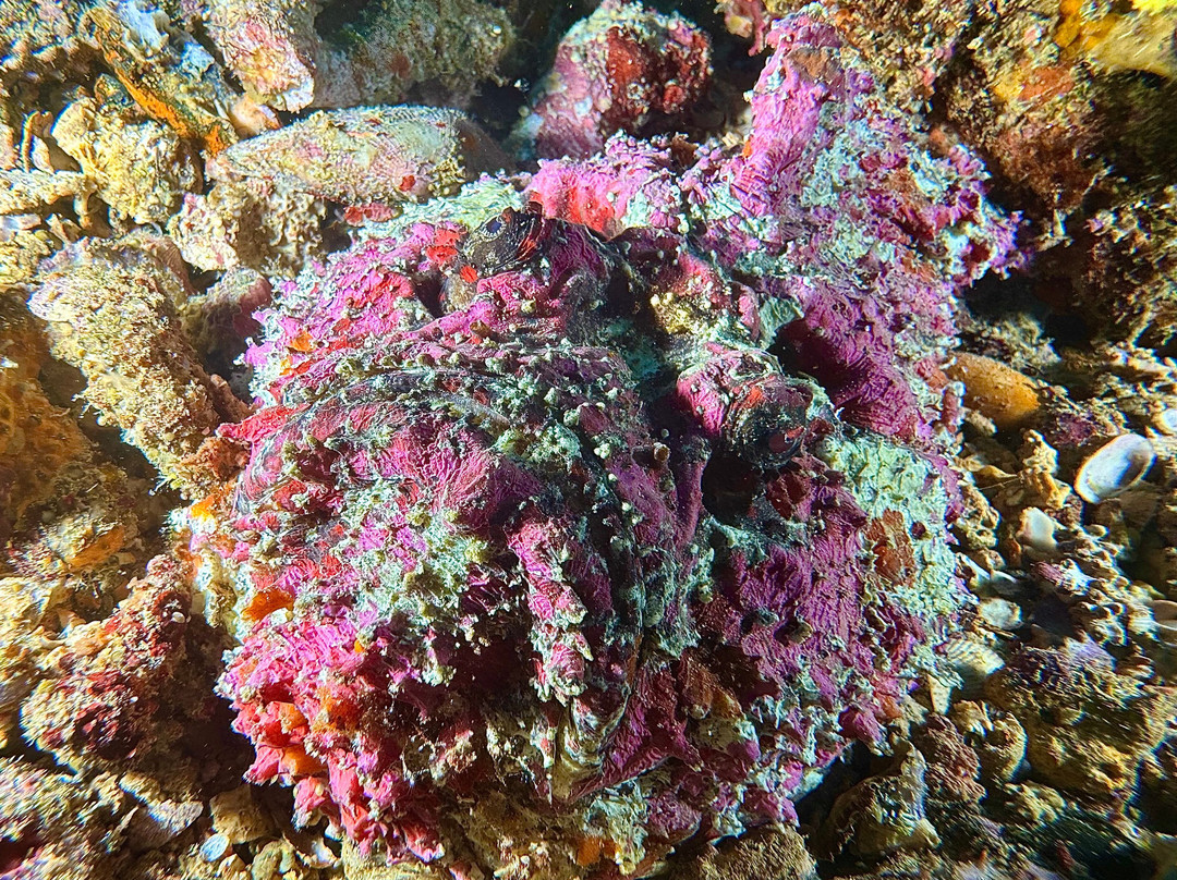 Dune Maldives-胡鲁马累必去景点