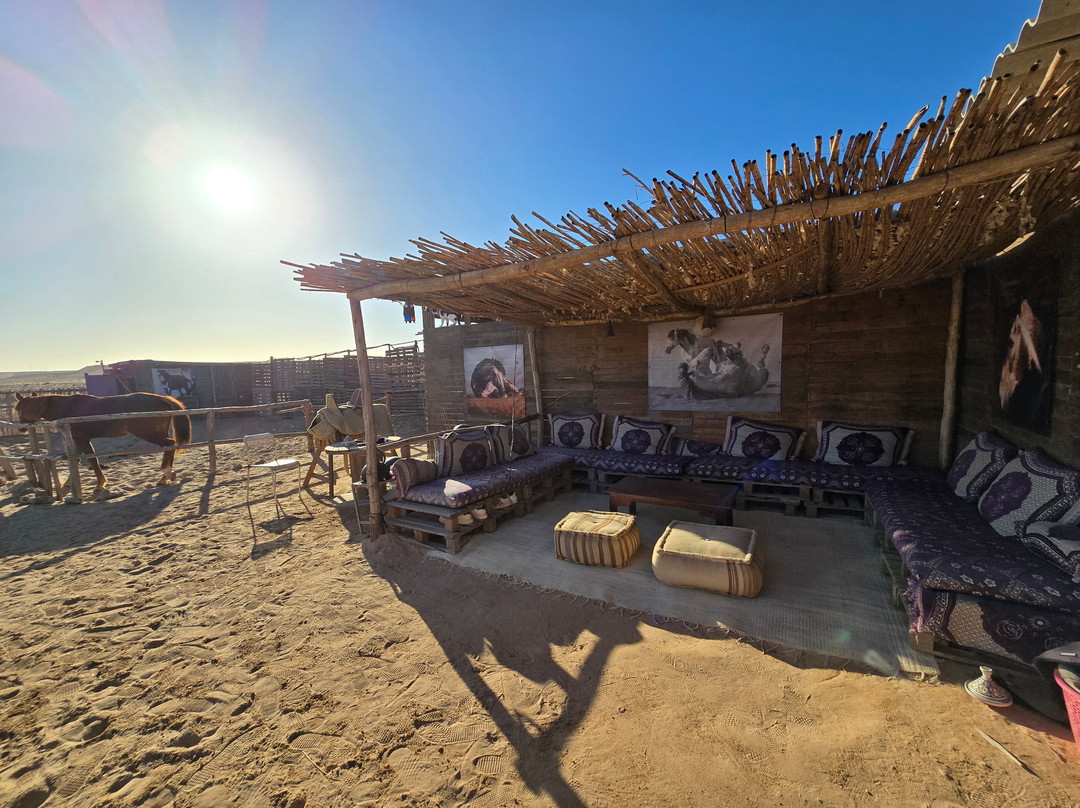 Ranch Des Dunes-达赫拉必去景点