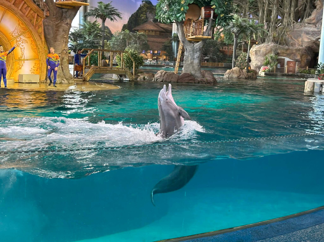 SeaWorld Yas Island Abu Dhabi-阿布扎比必去景点