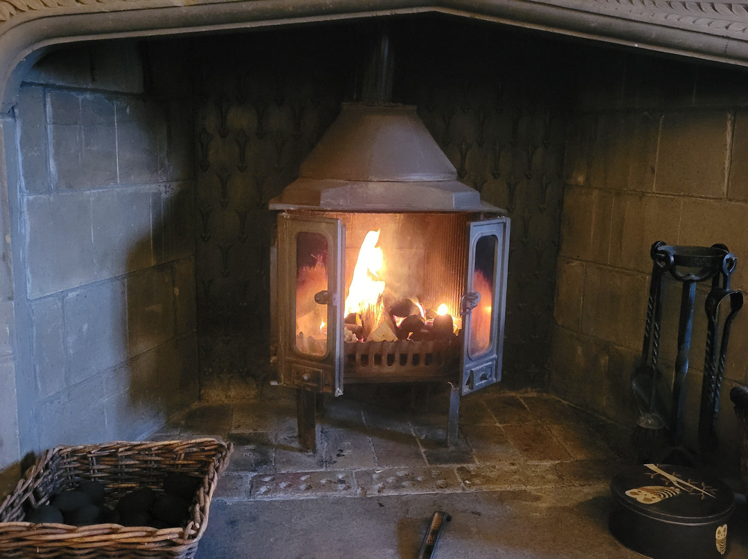 The Black Swan主图