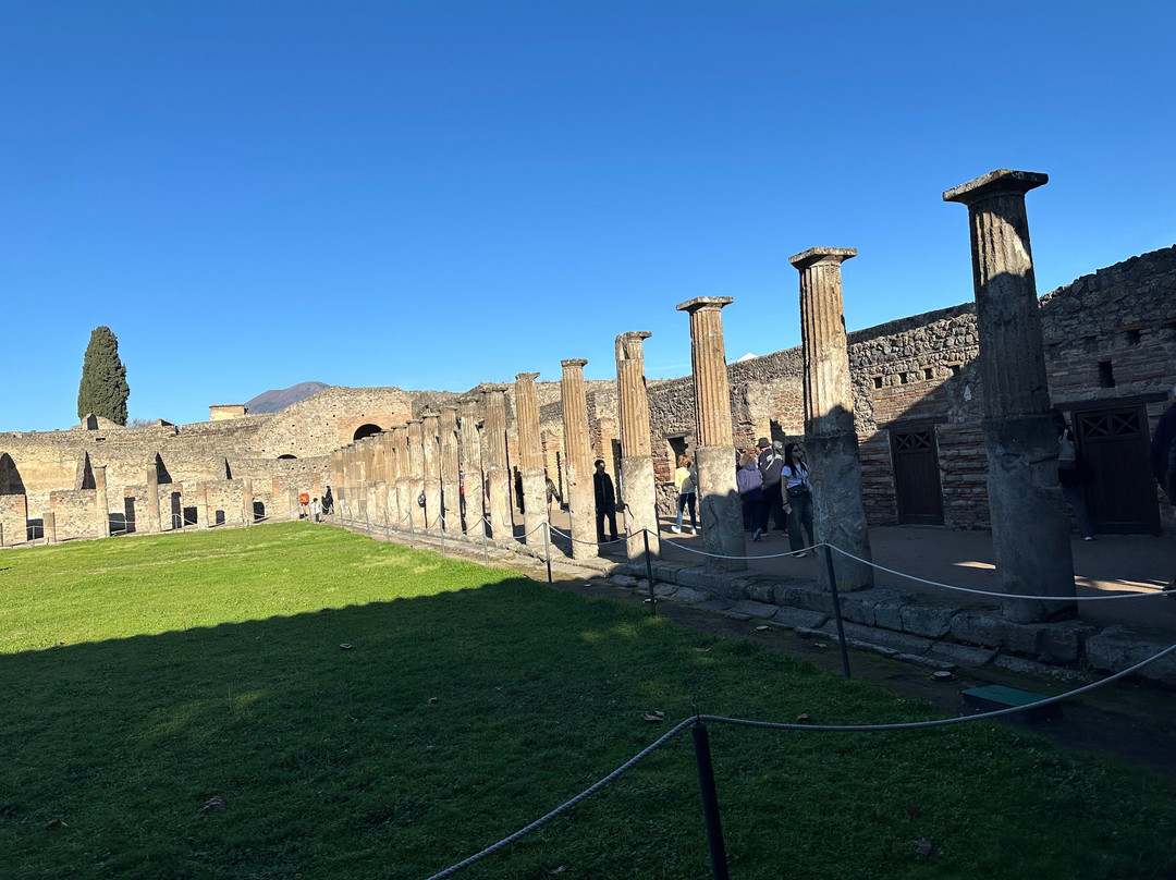 Crown Tours - Pompeii-庞贝必去景点