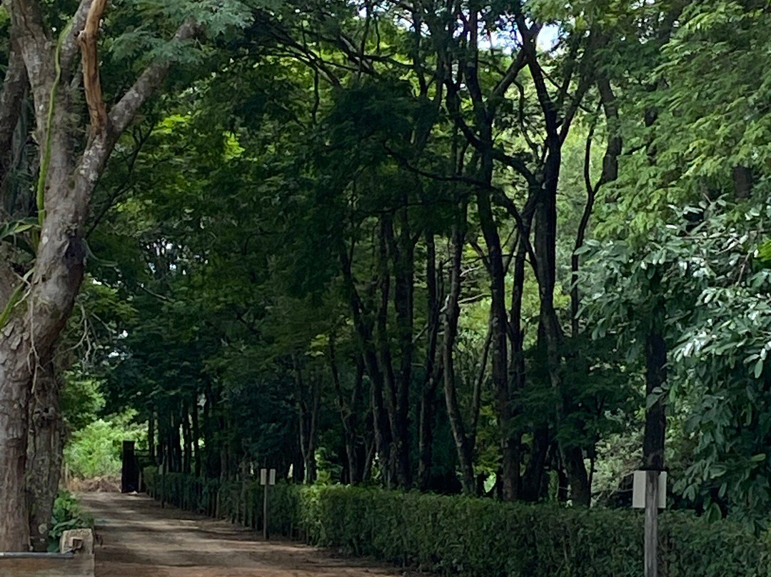 Ranchão Sertanejo主图