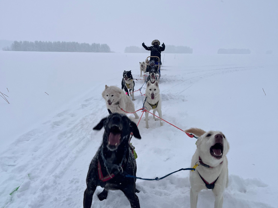 O'Nordic-Posio必去景点