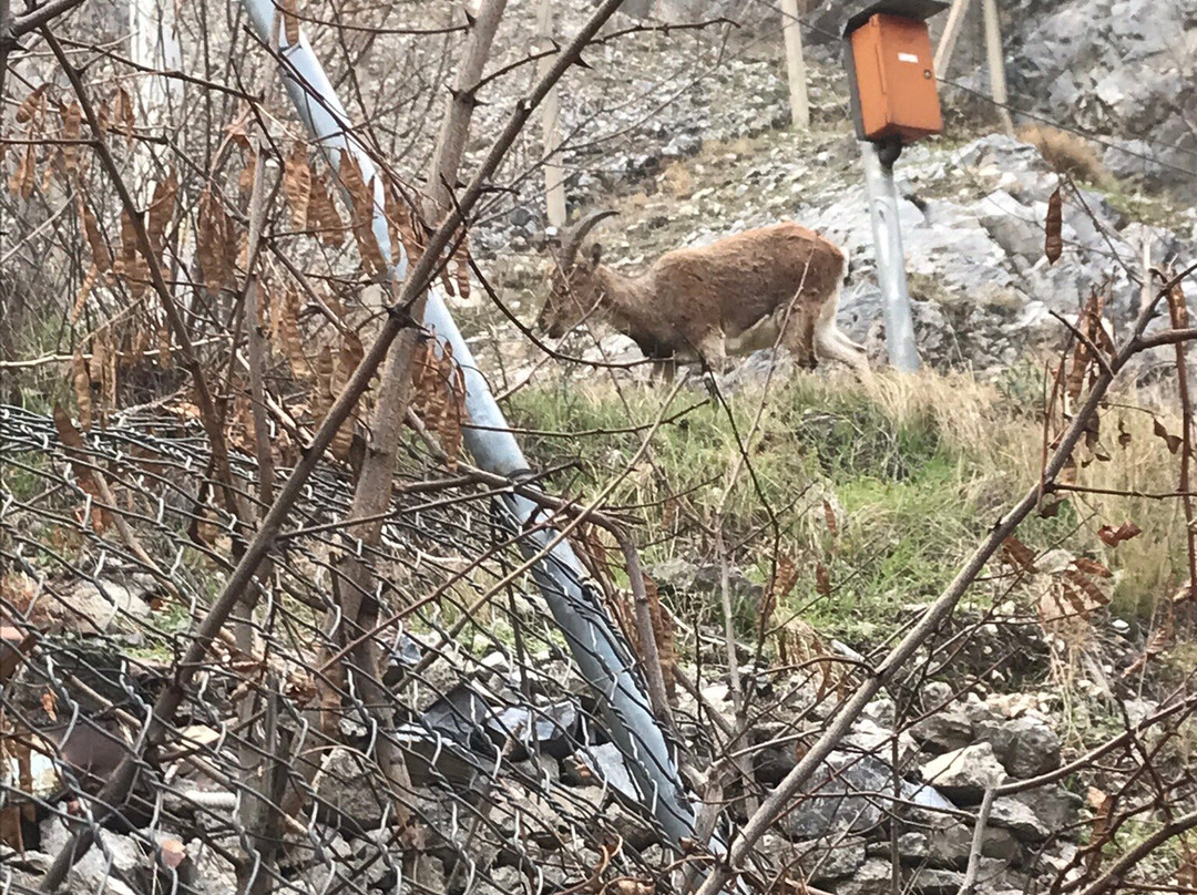 Seker Pinari-Adana必去景点