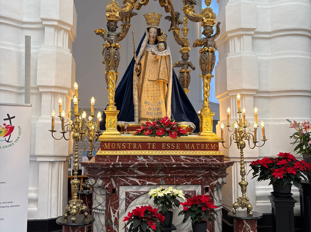 Onze-Lieve-Vrouw van Hanswijk-梅赫伦必去景点