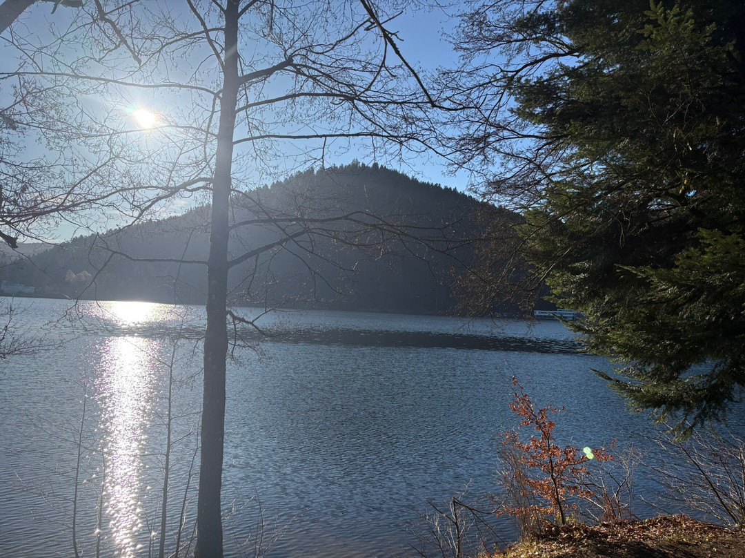 Lac de Gérardmer-热拉尔德梅必去景点
