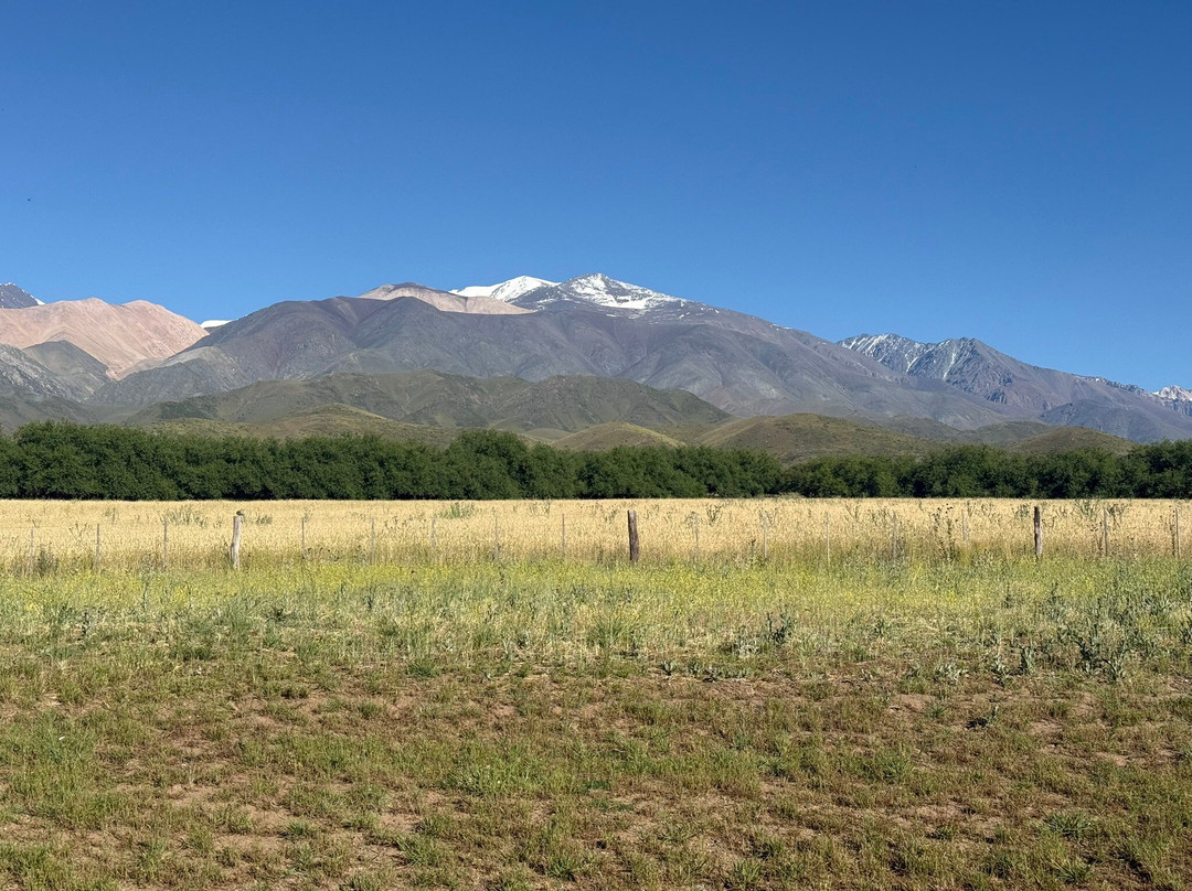 Vivacs Del Plata-Tupungato必去景点