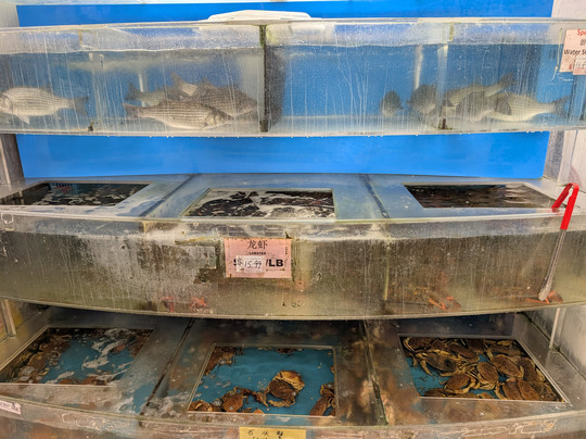 Boston Chinatown Tours-波士顿必去景点