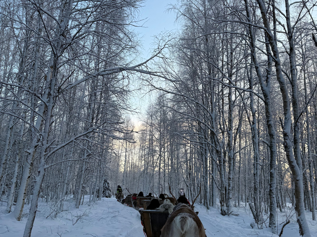 北极圈标线雪地公园-罗瓦涅米必去景点