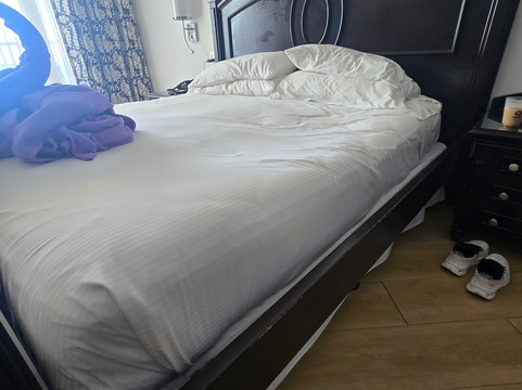 里乌宫殿天堂岛酒店 - 限成人- 全包主图