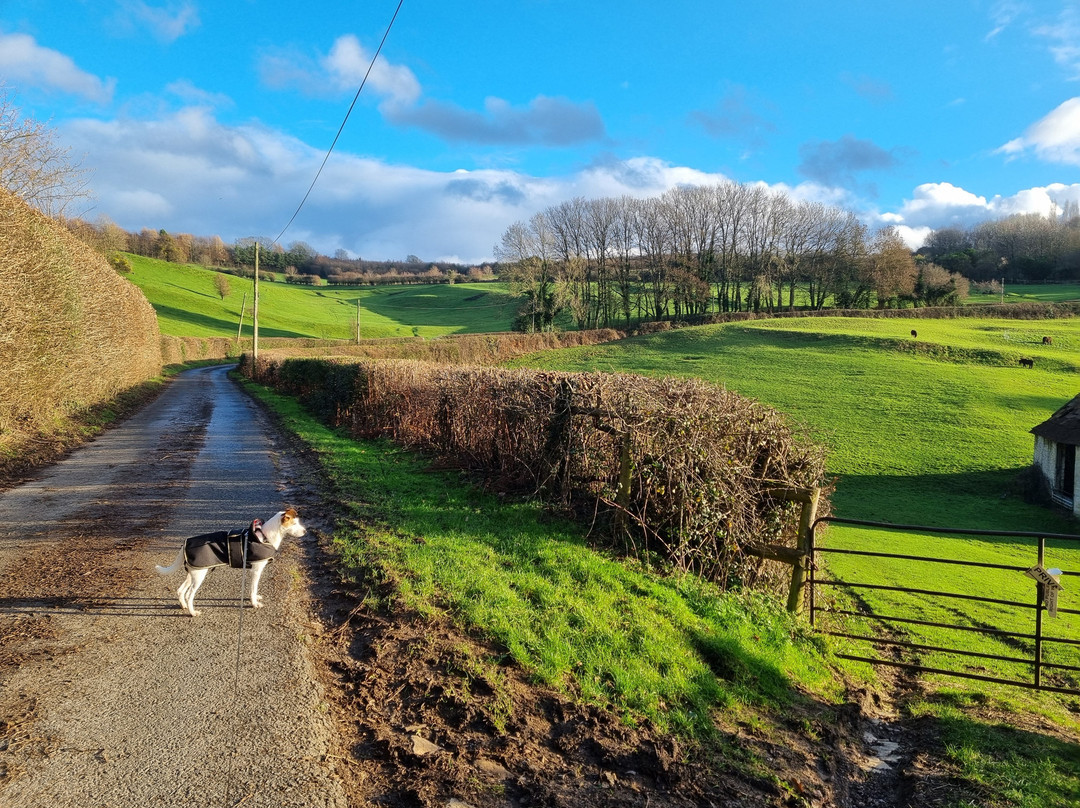 Hot Pot Pottery-English Bicknor必去景点