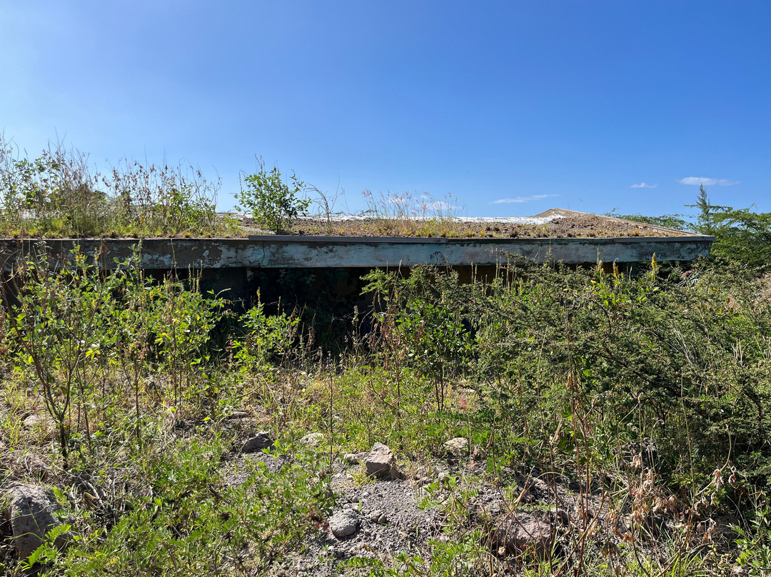 Sun's Montserrat Island Tours - Day Tours-蒙特塞拉特必去景点