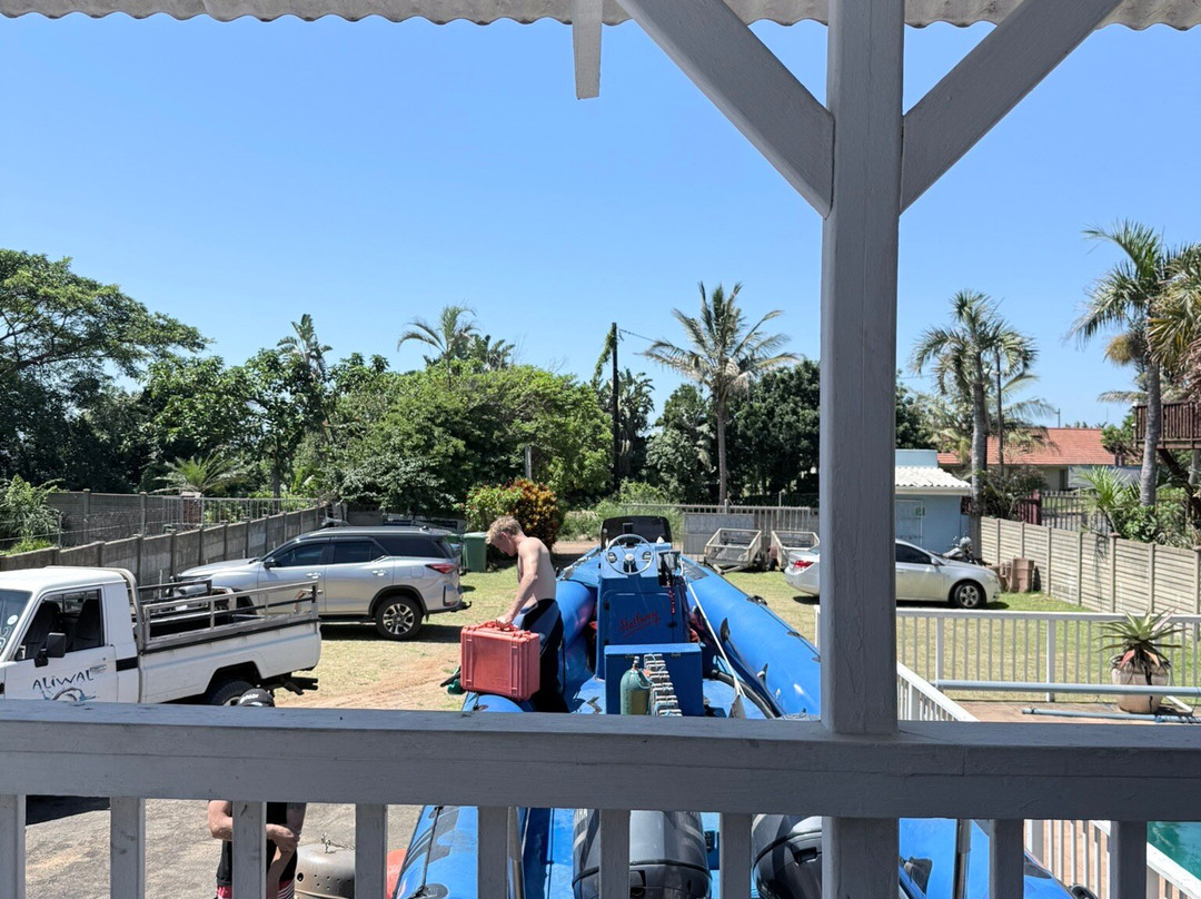 Aliwal Dive Centre-Umkomaas必去景点