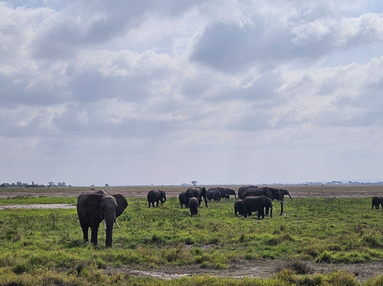 Native Afrika Voyages-内罗毕必去景点