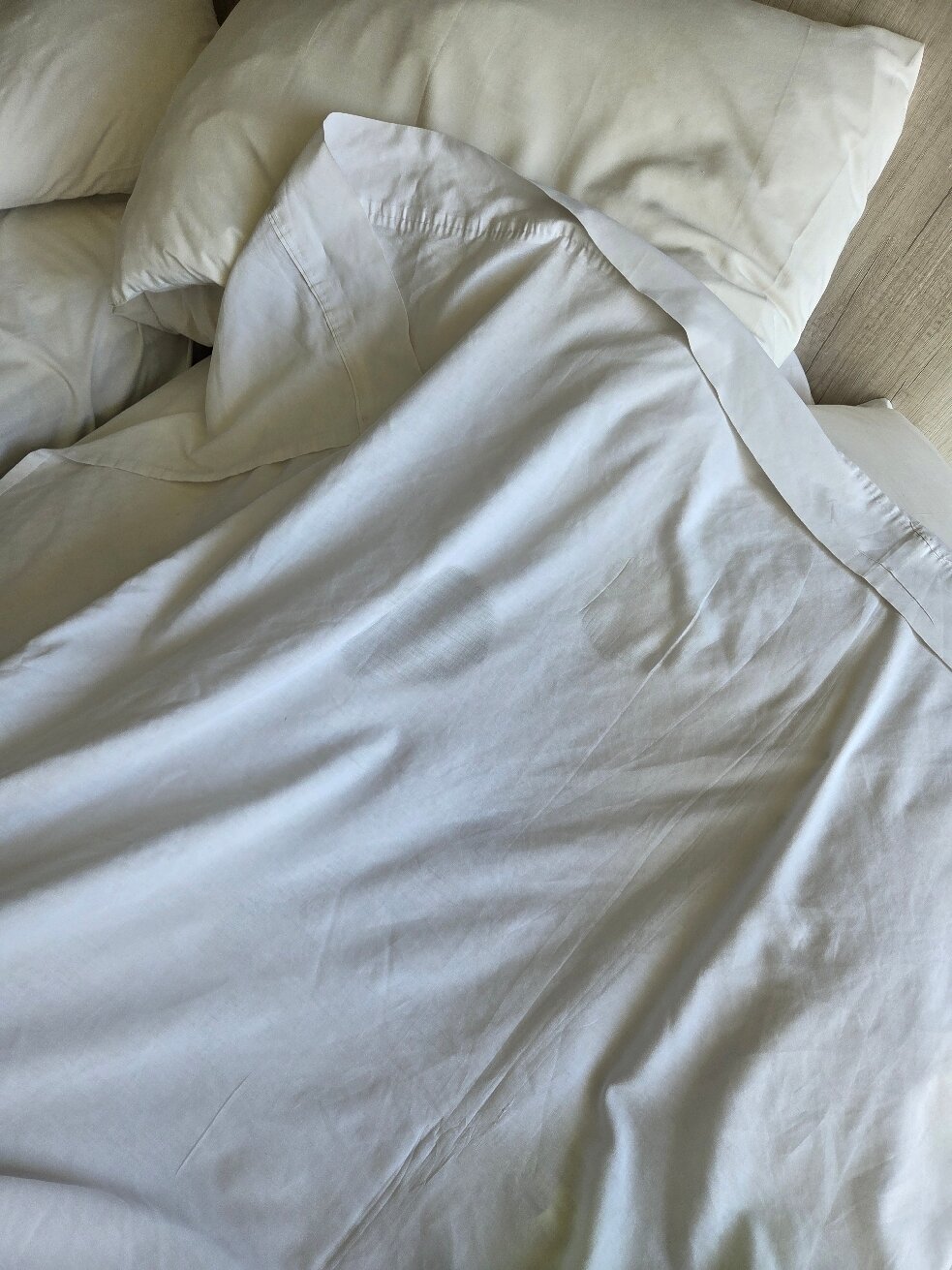 Hotel Club La Serena-官方