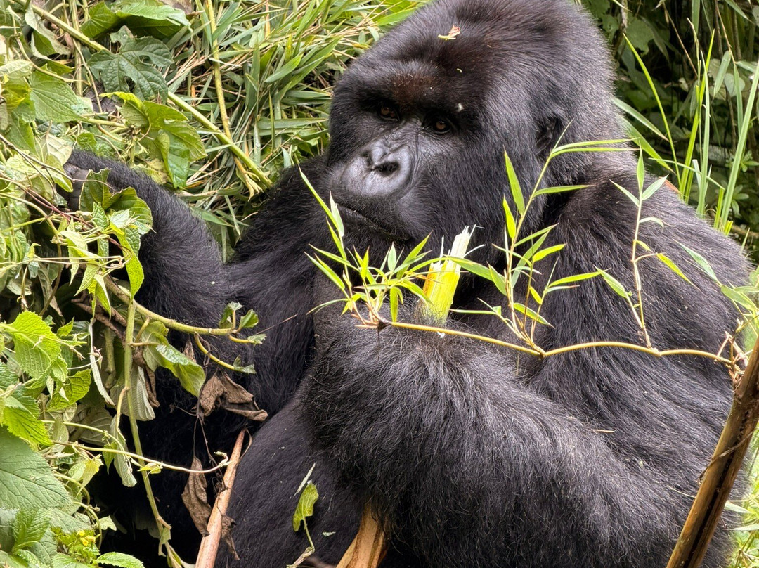 Amahoro Tours-吉佳利必去景点
