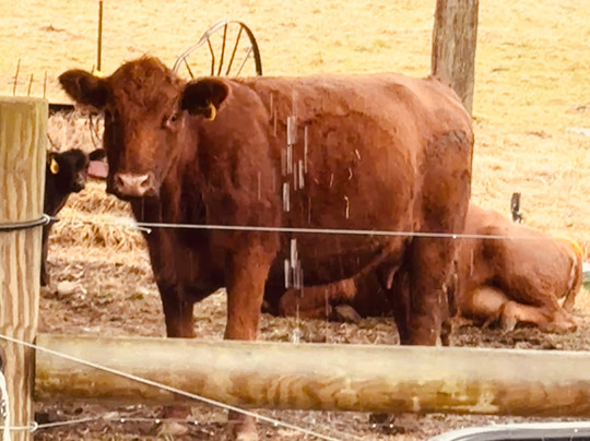 Shipley Farms-Vilas必去景点