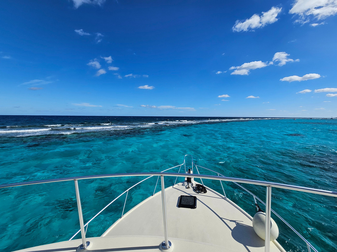 Capt. Marvin's-大开曼岛必去景点