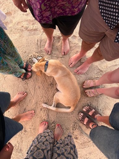Coconut Beach Resort-泳池