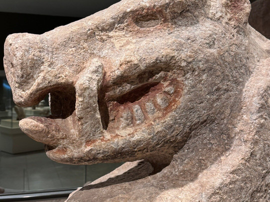 Sanliurfa Archeology and Mosaic Museum-Sanliurfa必去景点