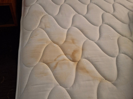 卢顿希尔顿花园酒店主图