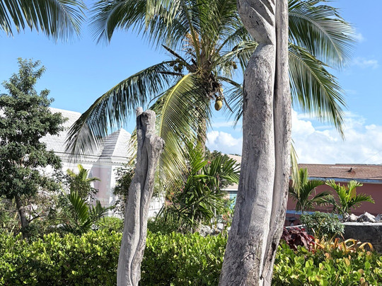 National Art Gallery Of The Bahamas-拿骚必去景点