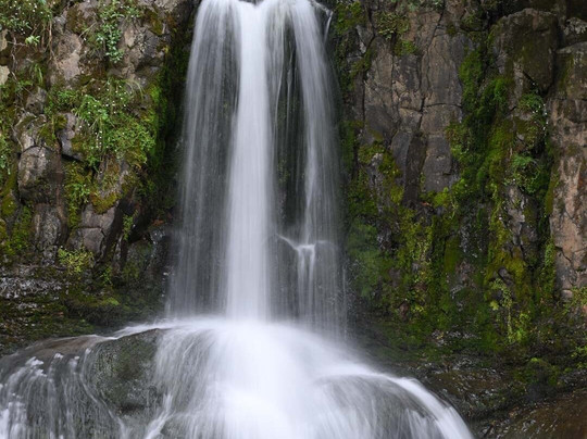 Waiau Falls Walk-Waiau必去景点