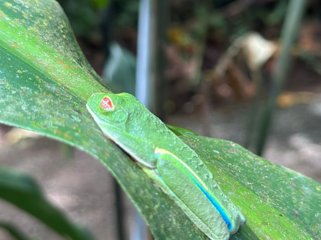 Matt's Fishing & Tours-萨迪纳尔必去景点