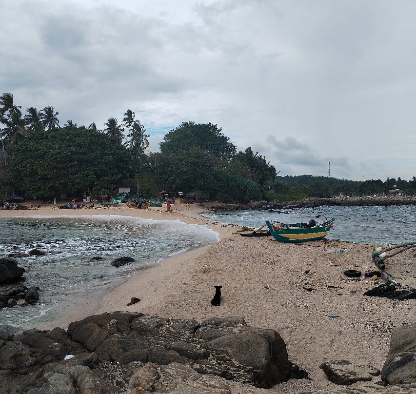 Sri Lankan Personal Drivers-科伦坡必去景点