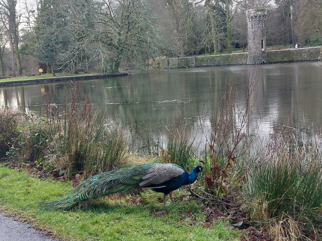 Johnstown Castle-County Wexford必去景点