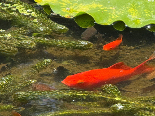 River Birches Lodge主图